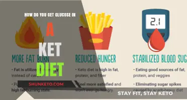 Navigating Glucose Intake While Maintaining Ketosis on a Keto Diet