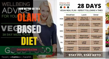 Plant-Based Diet: A Guide to Transitioning