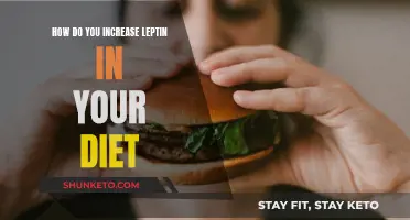 Boosting Leptin: Effective Dietary Strategies for Healthy Weight Loss