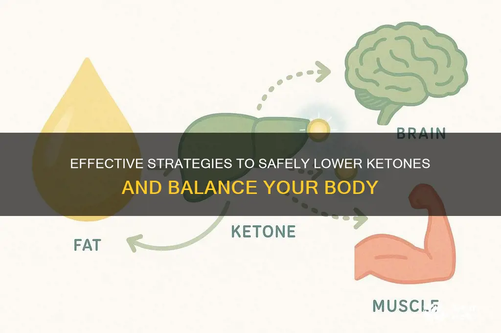 how do you lower ketones