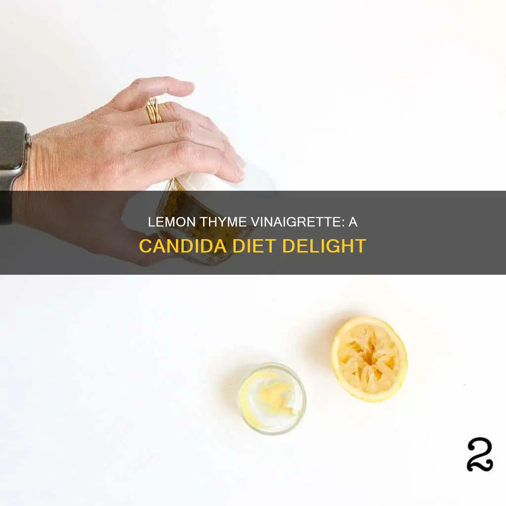 how do you make lemon thyme vinaigrette for candida diet