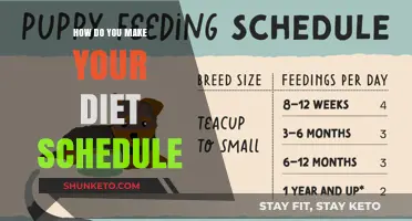 Designing Your Diet: A Schedule for Success