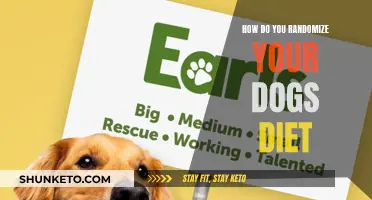 Creative Ways to Randomize Your Dog's Diet