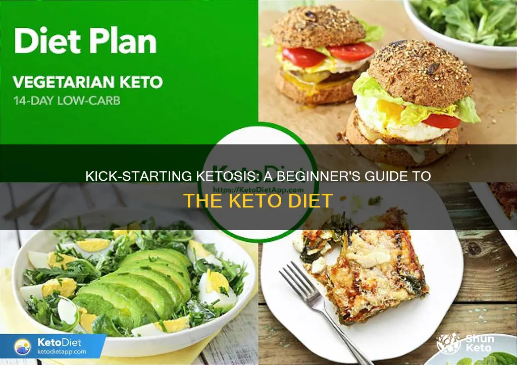 how do you start a ketosis diet