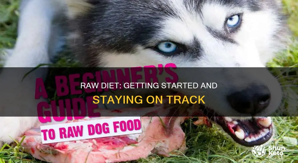 how do you start a raw diet