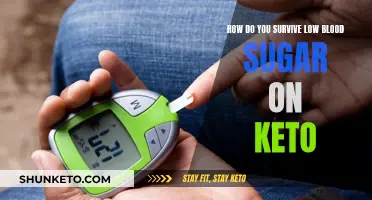 Surviving Low Blood Sugar on Keto: A Practical Guide