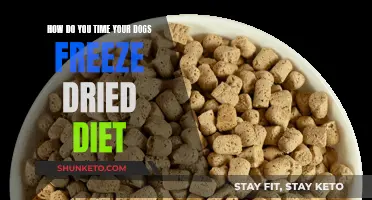 Timing Your Dog's Freeze-Dried Diet: A Quick Guide