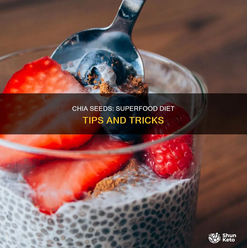 how do you use chia seeds in my diet