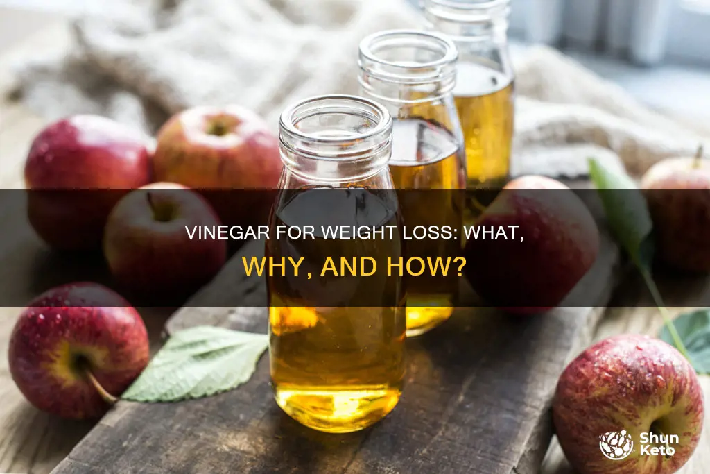 how do you use vinegar for a diet