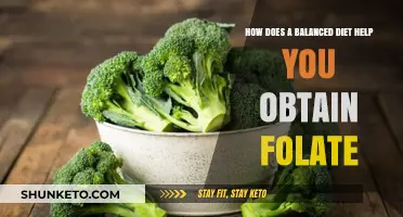 Healthy Eating: Folate and a Balanced Diet
