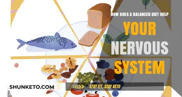 Healthy Eating, Healthy Nervous System