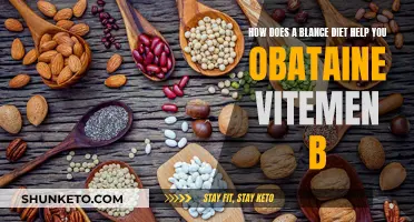 A Balanced Diet: Your Vitamin B Source