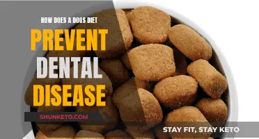 A Dog's Diet: Dental Disease Prevention