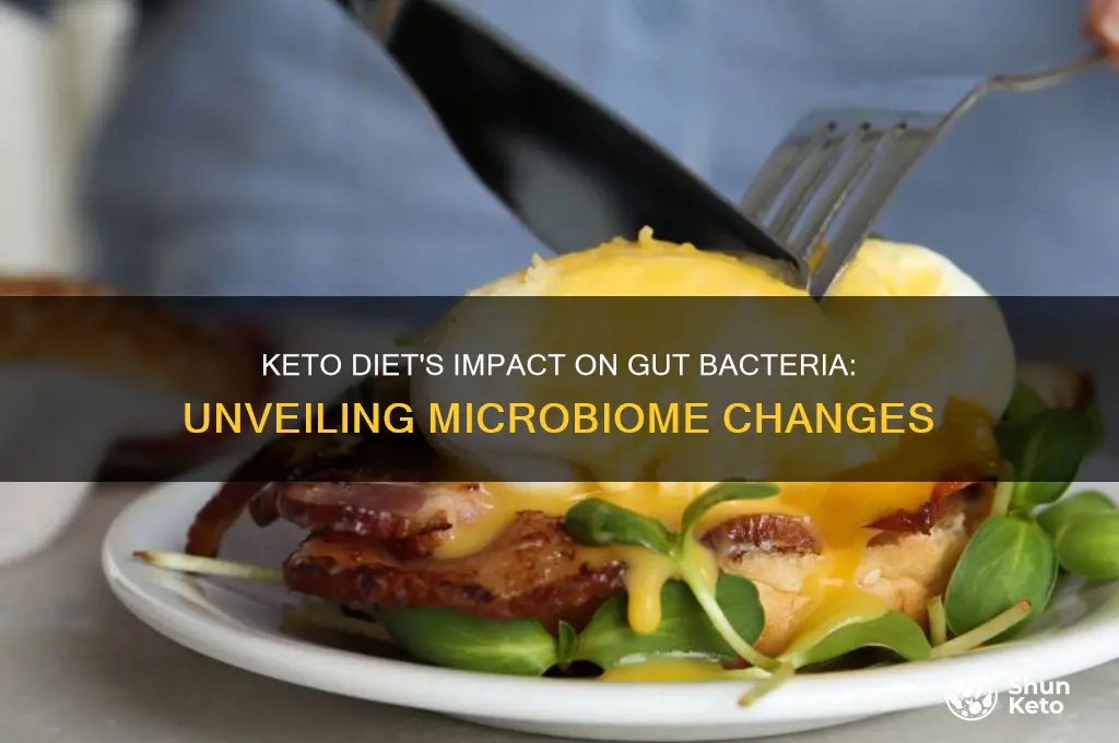 how does a keto diet affect gut bacteria