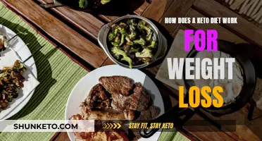 Keto Diet: Understanding Weight Loss Mechanisms