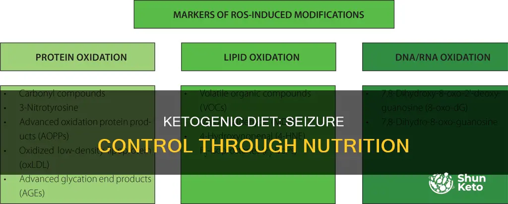how does a ketogenic diet help with seizures