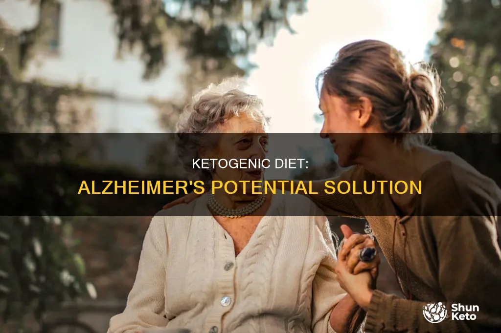 how does a ketogenic diet helps alhimers