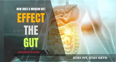Modern Diets: Impacting Gut Health and Wellbeing