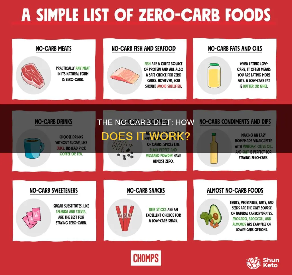 how does a no carb diet work