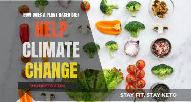 Plant-Based Diets: Fighting Climate Change, Saving the Planet