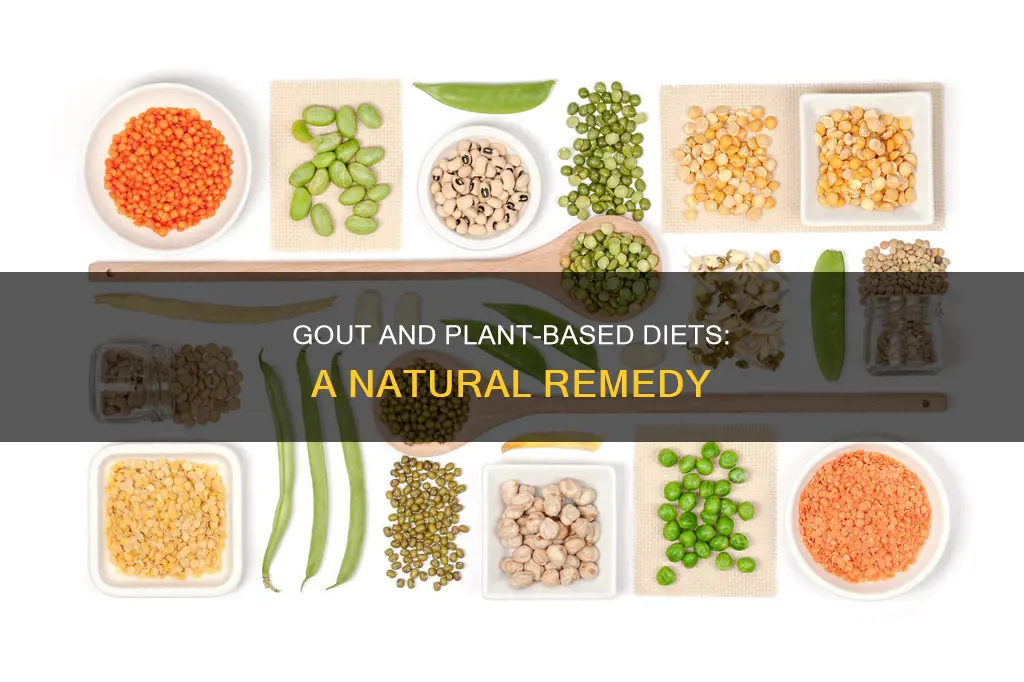 how does a plant based diet help gout