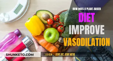 Vasodilation Benefits of a Plant-Based Diet