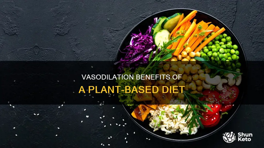 how does a plant-based diet improve vasodilation