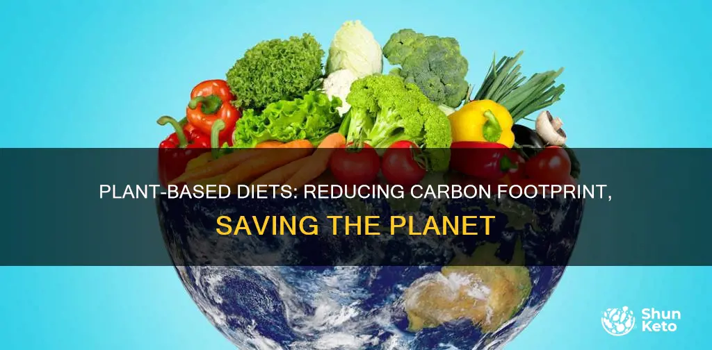 how does a plant based diet reduce carbon footprint