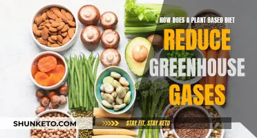 Plant-Based Diets: Reducing Greenhouse Gases, Saving the Planet