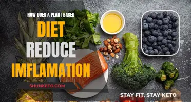 Plant-Based Diets: Reducing Inflammation, Improving Health