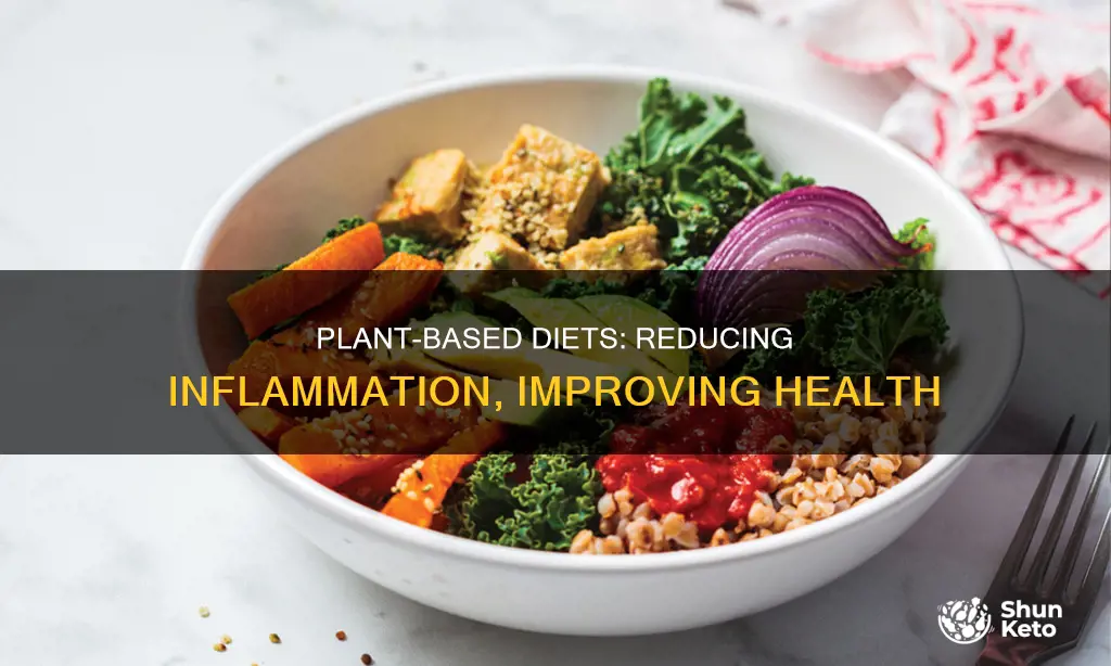 how does a plant based diet reduce imflamation