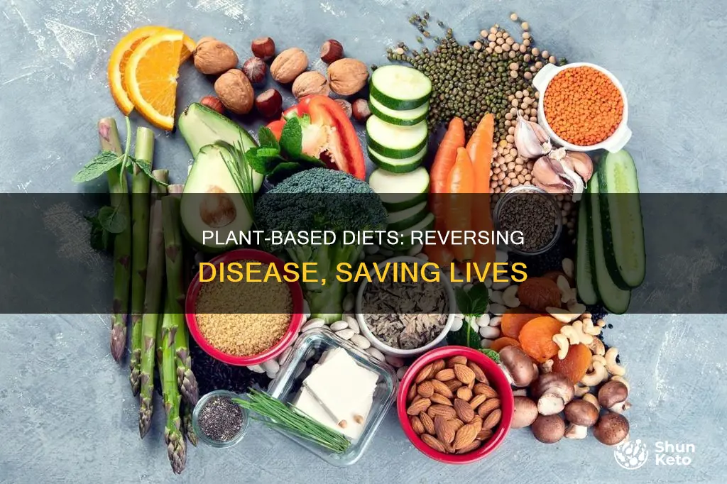 how does a plant based diet reverse disease