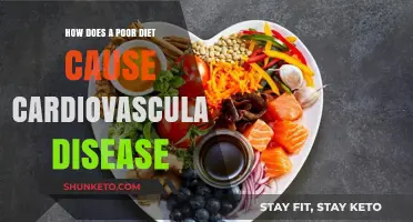 Poor Diet, Heart Disease: Understanding the Link