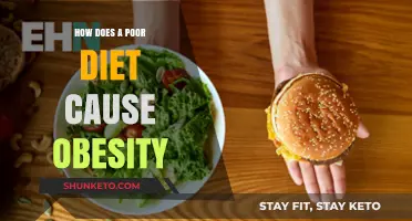 Poor Dieting: A Recipe for Obesity