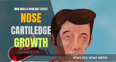 Poor Diet: Impact on Nose Cartilage Growth