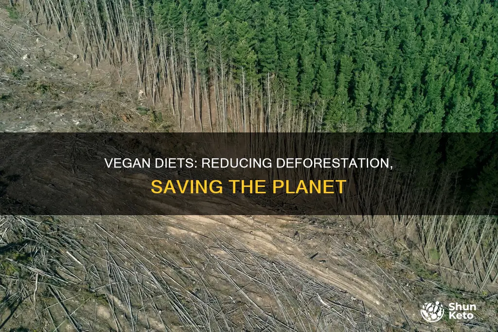 how does a vegan diet help reduce deforestation