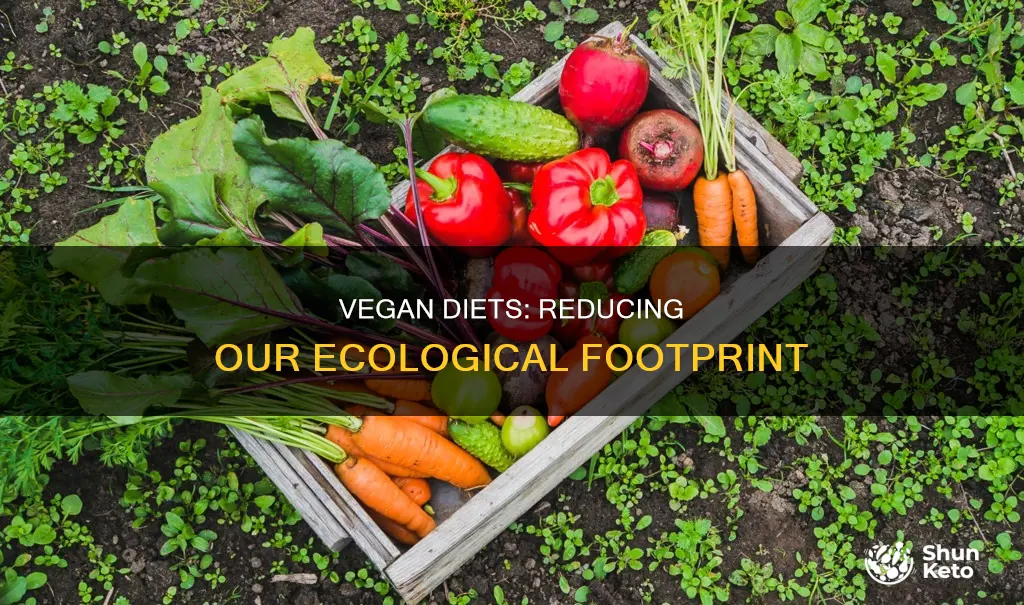 how does a vegan diet help reduce our ecological footprint