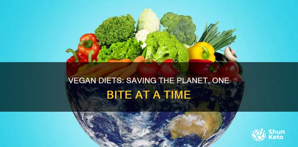 how does a vegan diet help the environment