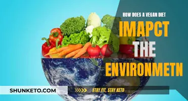 Vegan Diets: Environmental Impact and Sustainability