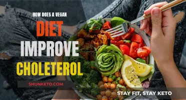 Vegan Diets: Lowering Cholesterol, Improving Health