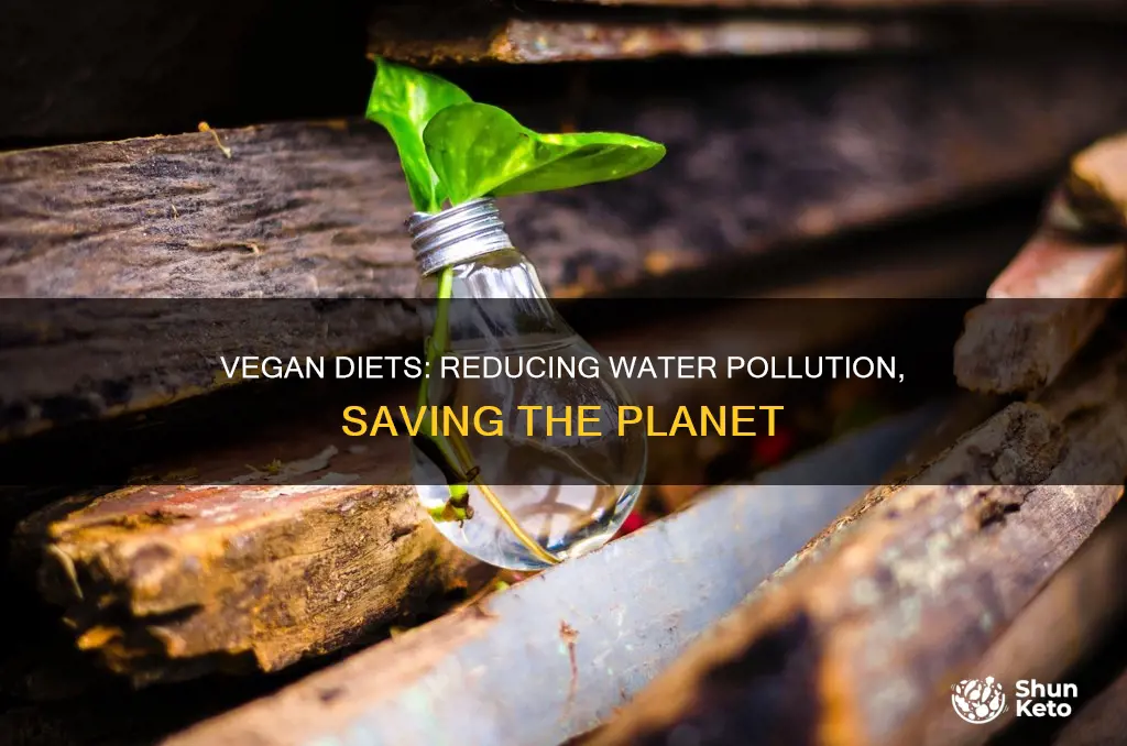 how does a vegan diet reduce water pollution