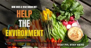 Vegetarian Diets: Saving the Planet, One Bite at a Time