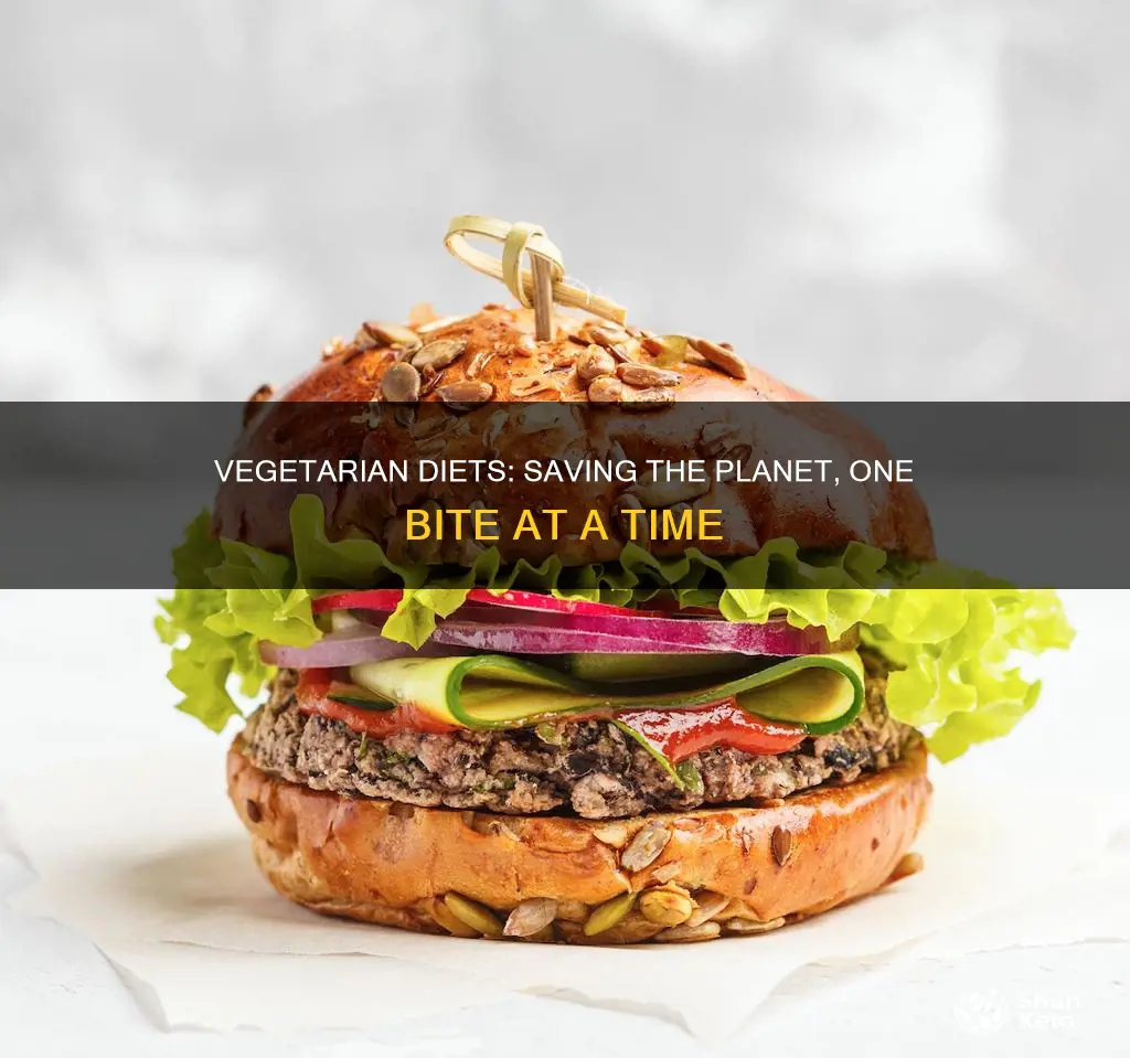 how does a vegetarian diet help the environment