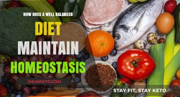 Healthy Eating: Homeostasis and Balanced Diets