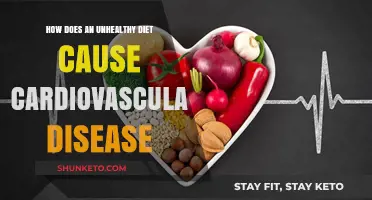 Unhealthy Diets: A Direct Route to Cardiovascular Disease