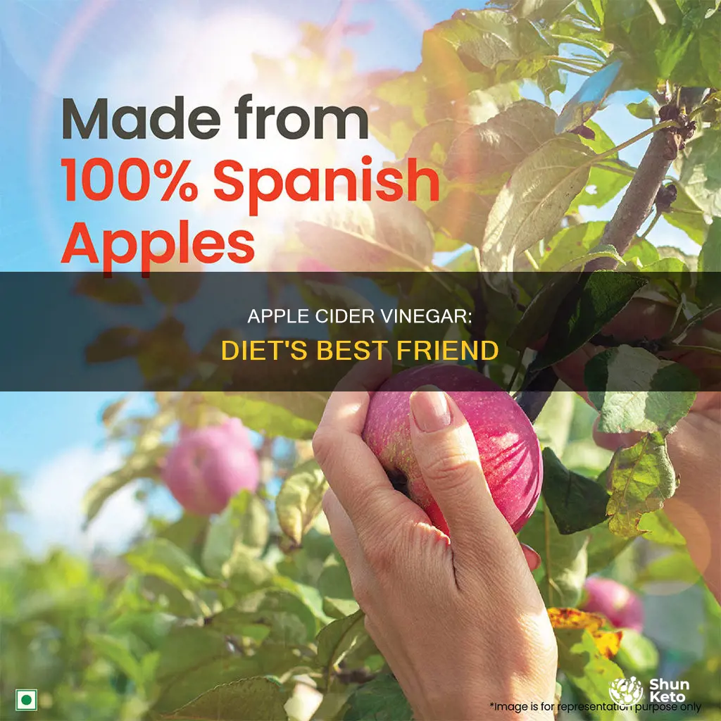 how does apple cider vinegar help with diet