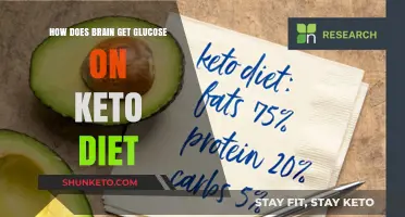 Brain Fuel on Keto: How Glucose is Sustained Without Carbs