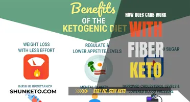 Carbs, Fiber, and Keto: What's the Link?