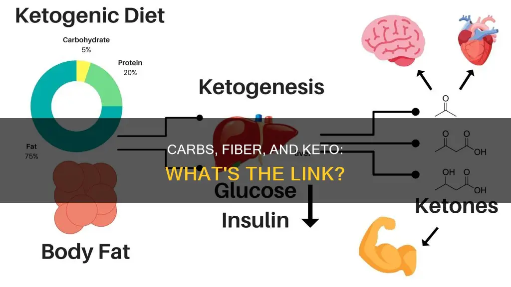 how does carb work with fiber keto