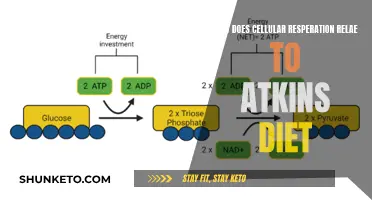 Cellular Respiration and the Atkins Diet: What's the Link?